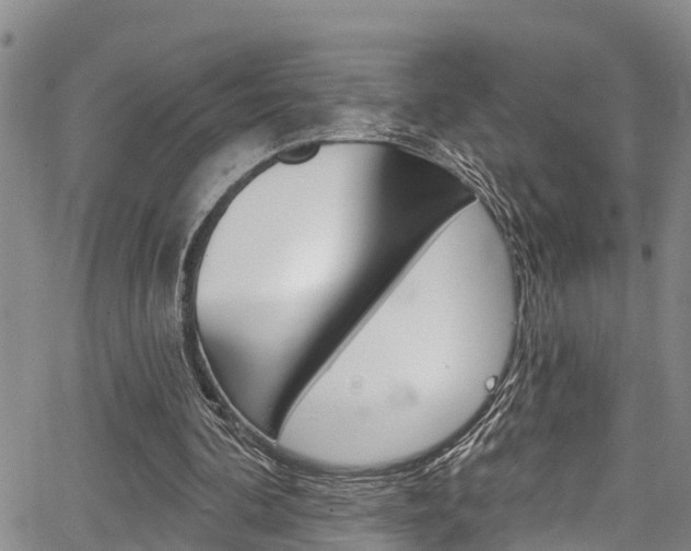 X0000067860292200604130951