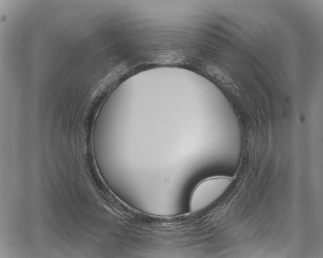 X0000067860303200604130951
