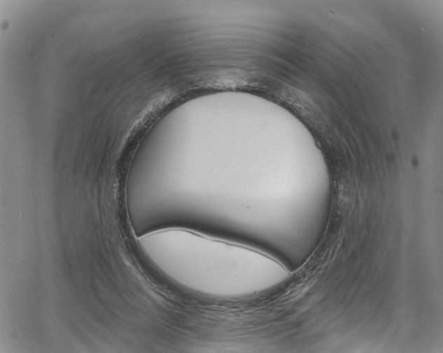 X0000067860304200604130951