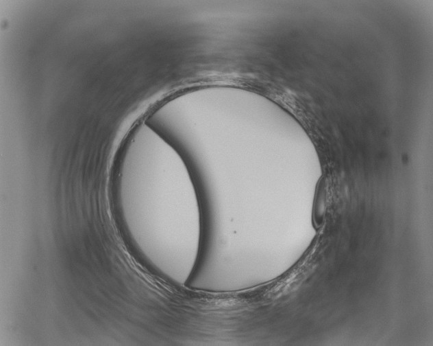 X0000067860342200604130950