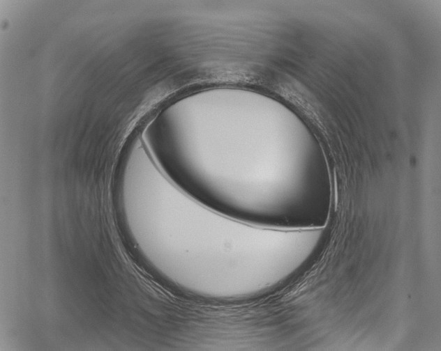X0000067860483200604130948