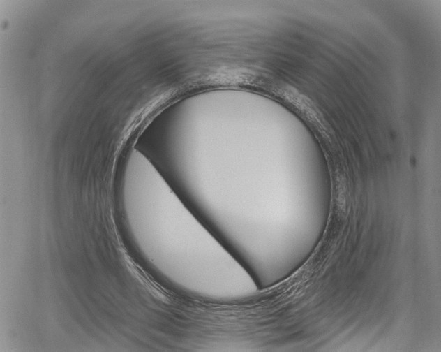 X0000067860486200604130948