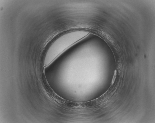 X0000067860544200604130947