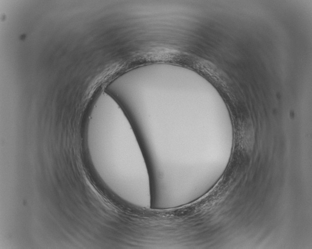 X0000067860586200604130946