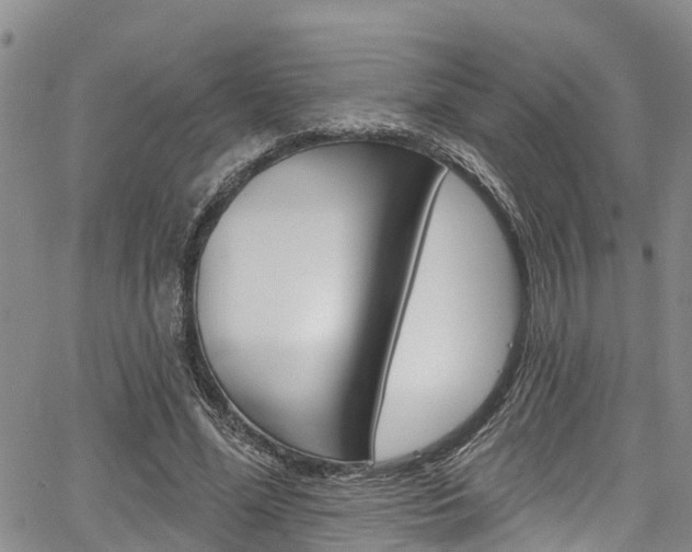 X0000067860588200604130946