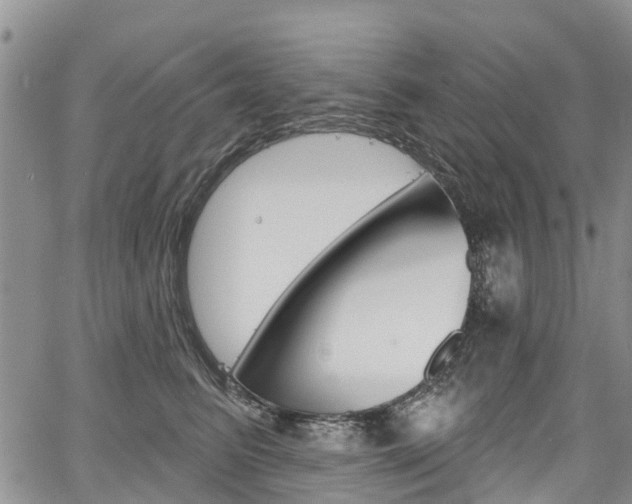 X0000067860615200604130946
