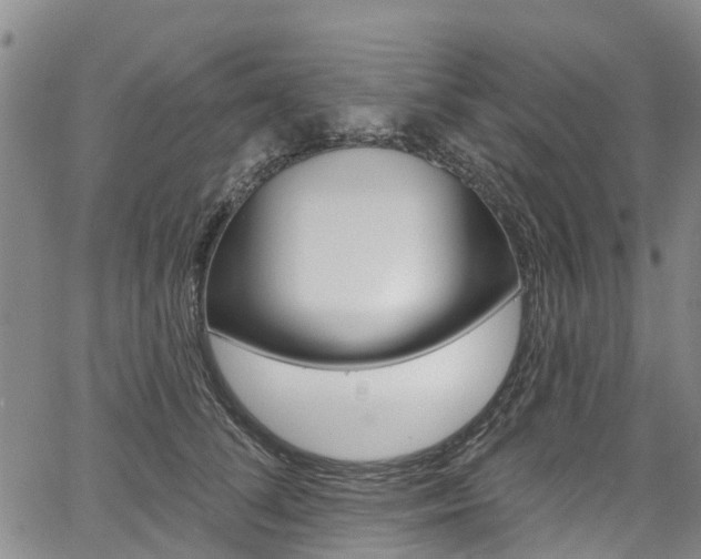 X0000067860708200604130944