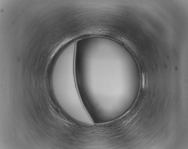X0000067860723200604130943