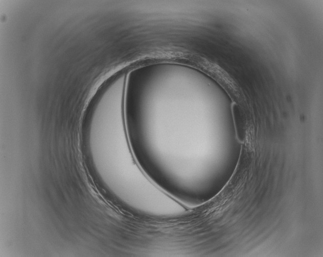 X0000067860724200604130943