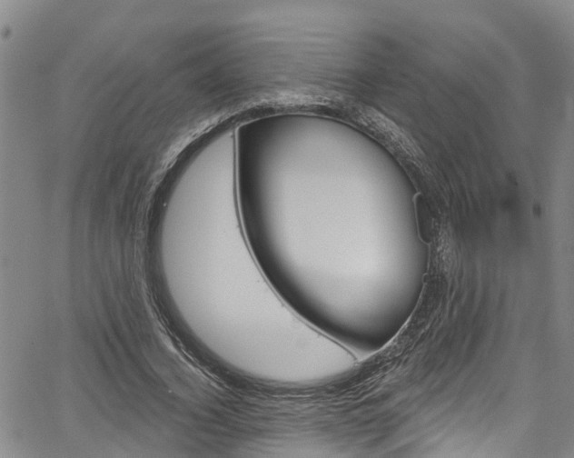 X0000067860732200604130944