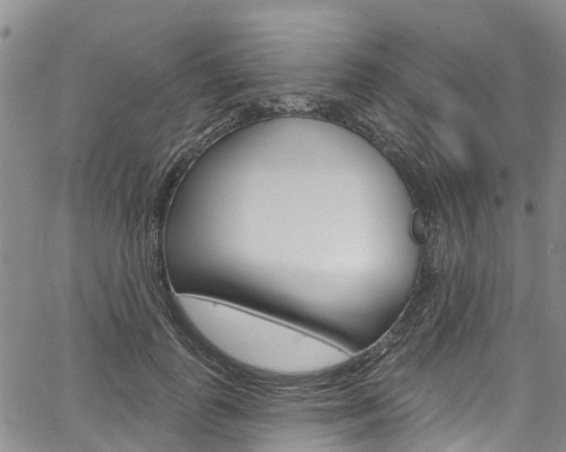 X0000067860747200604130944