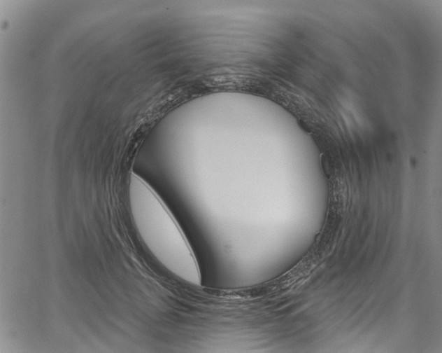 X0000067860751200604130944