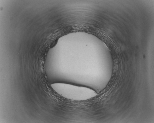 X0000067860770200604130943