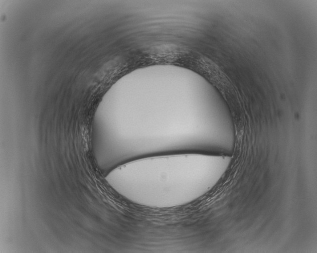 X0000067860772200604130943