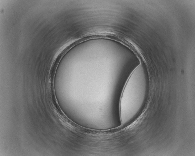 X0000067860779200604130943