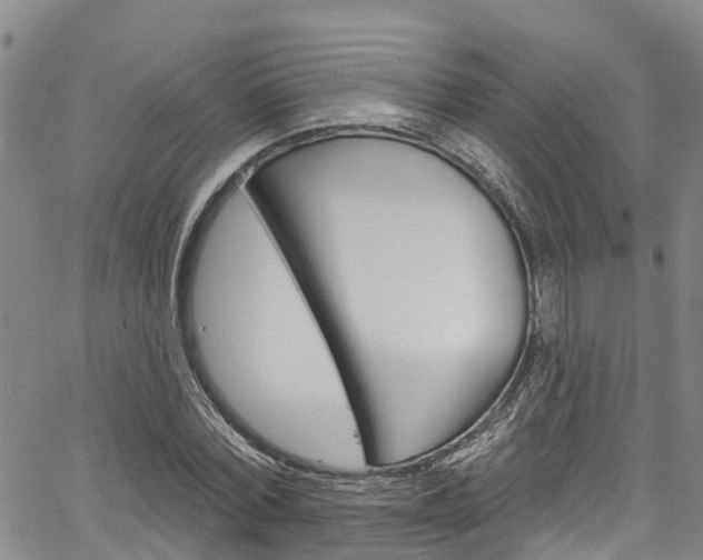 X0000067860780200604130943