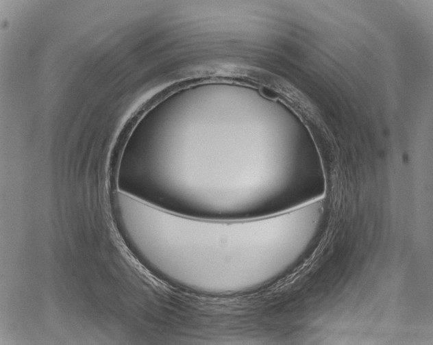 X0000067860784200604130943