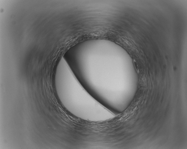 X0000067860817200604130942