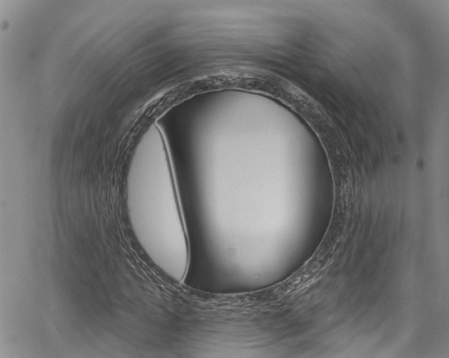 X0000067860822200604130942
