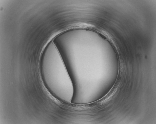 X0000067860843200604130942