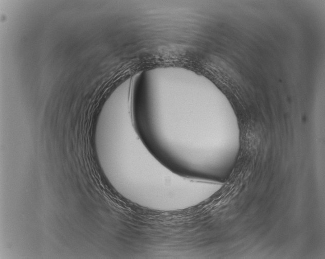X0000067860865200604130942