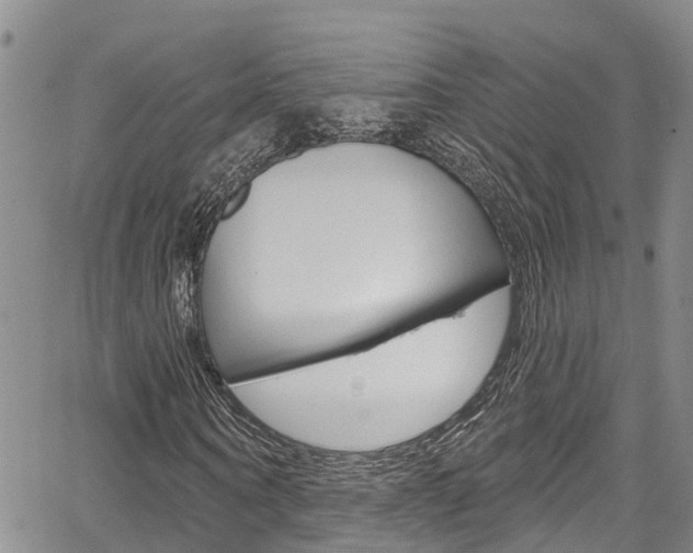 X0000067860866200604130942
