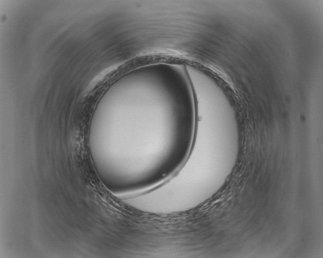 X0000067860872200604130942