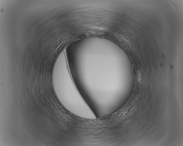 X0000067860915200604130940