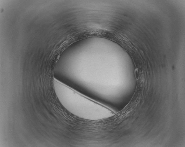 X0000067860916200604130940