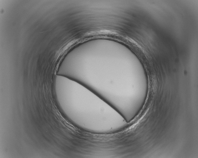X0000067860921200604130940