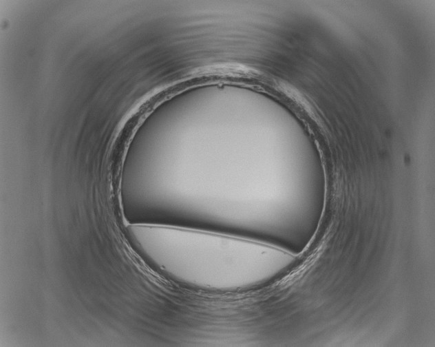 X0000067860923200604130940