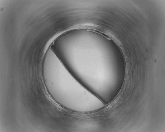 X0000067860960200604130941