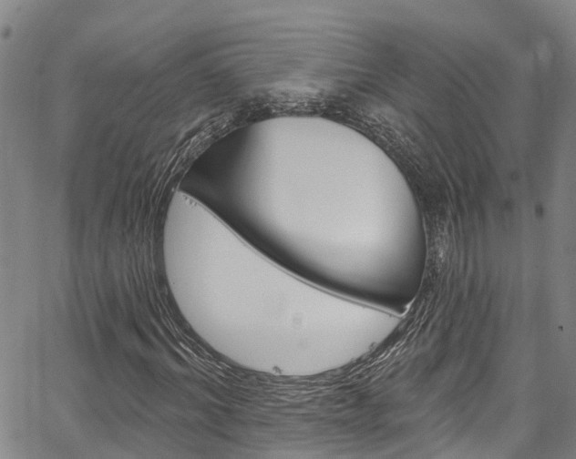 X0000067860964200604130940