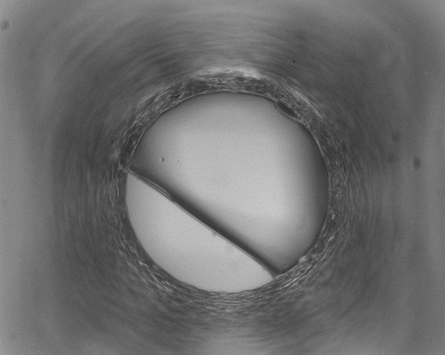 X0000067860965200604130940