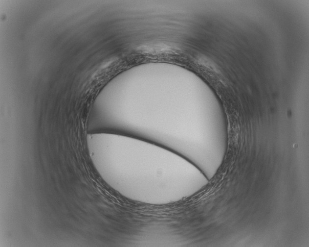 X0000067860966200604130940