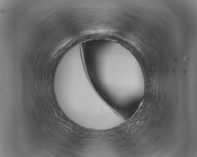 X0000067860967200604130940