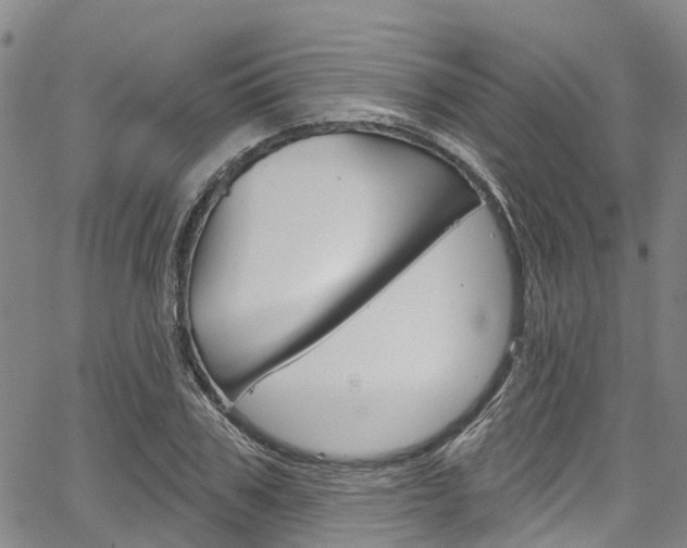 X0000067860979200604130940