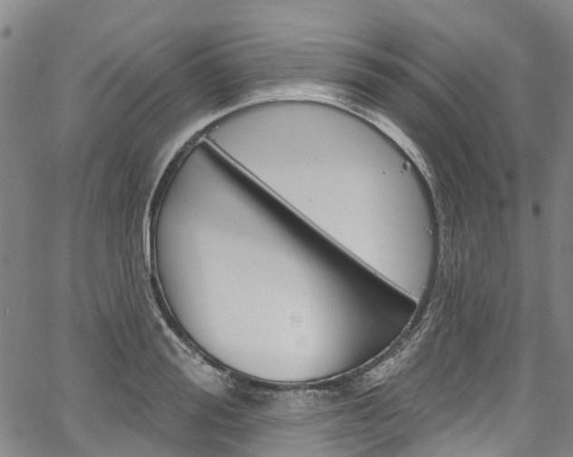 X0000067860988200604130940