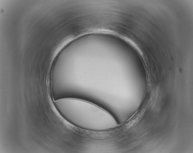X0000067861007200604130940