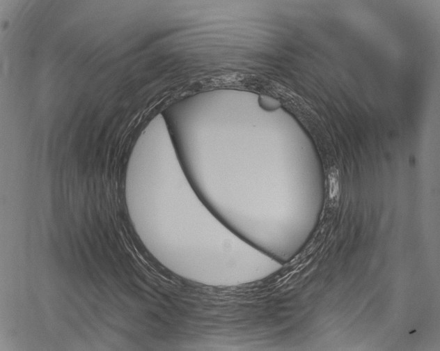 X0000067861011200604130939