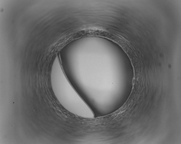 X0000067861014200604130939