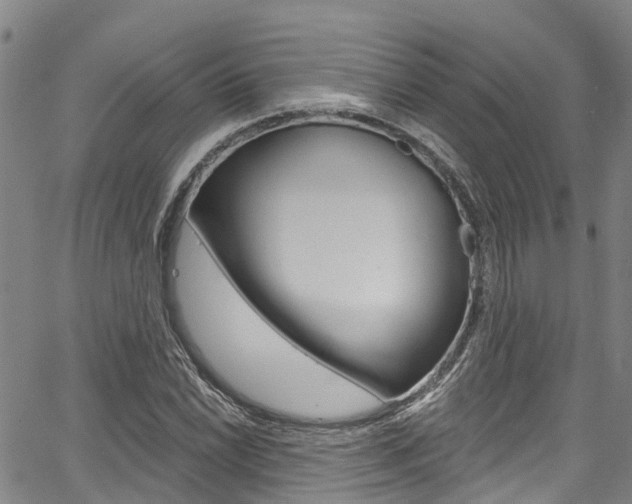 X0000067861022200604130939