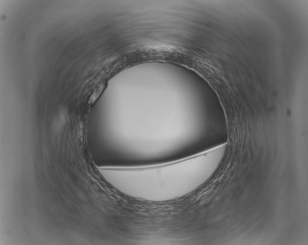 X0000067861061200604130939