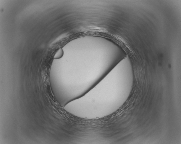 X0000067861063200604130939