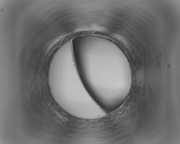 X0000067861064200604130939