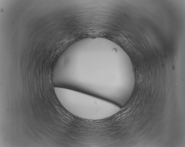 X0000067861106200604130937