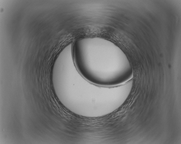 X0000067861153200604130937