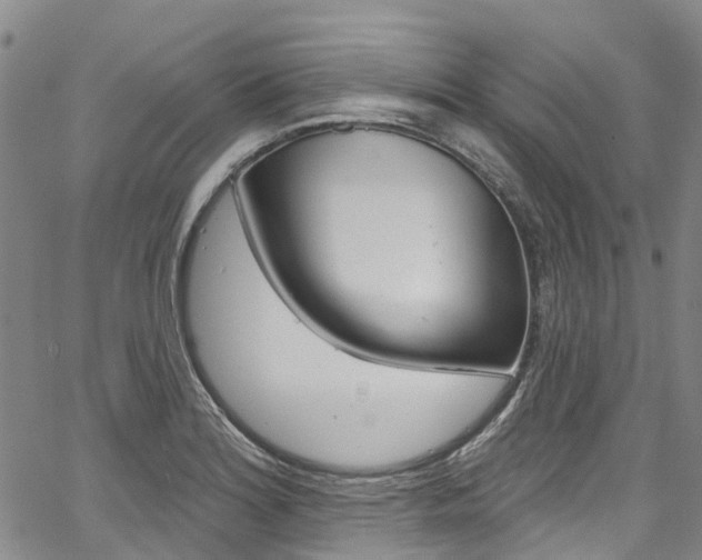X0000067861180200604130937