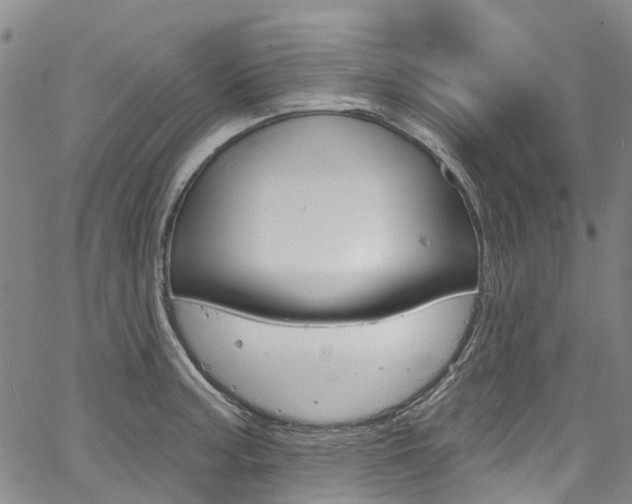 X0000067861187200604130937