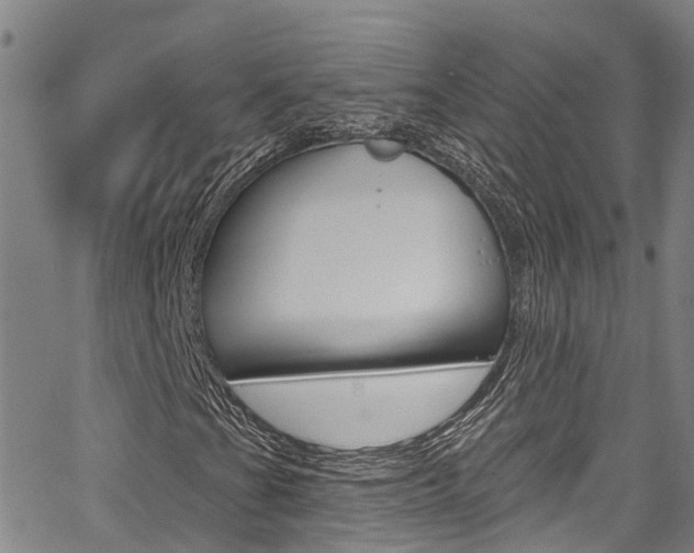 X0000067861201200604130936